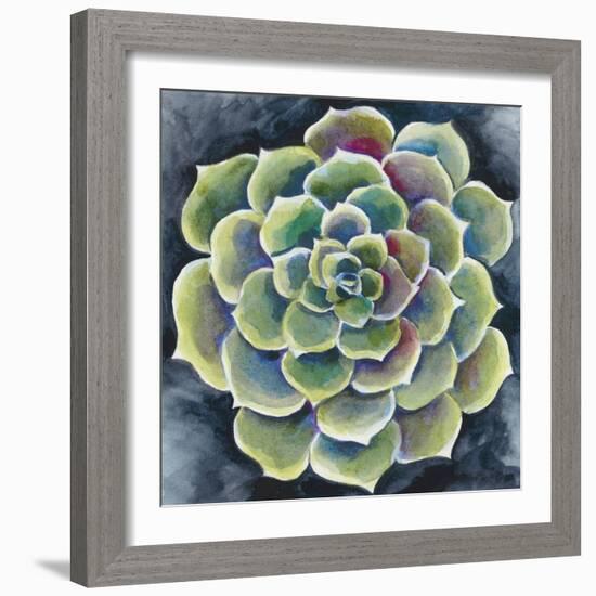 Succulent Rosette II-Chariklia Zarris-Framed Premium Giclee Print