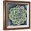 Succulent Rosette II-Chariklia Zarris-Framed Premium Giclee Print