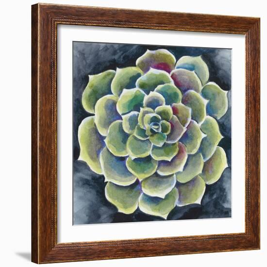 Succulent Rosette II-Chariklia Zarris-Framed Premium Giclee Print