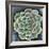 Succulent Rosette II-Chariklia Zarris-Framed Premium Giclee Print