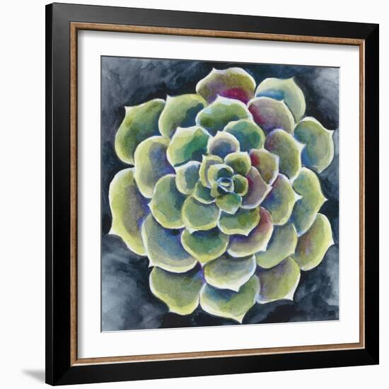 Succulent Rosette II-Chariklia Zarris-Framed Premium Giclee Print