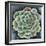 Succulent Rosette II-Chariklia Zarris-Framed Premium Giclee Print