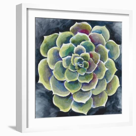 Succulent Rosette II-Chariklia Zarris-Framed Premium Giclee Print