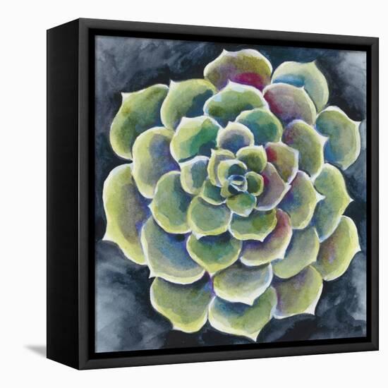 Succulent Rosette II-Chariklia Zarris-Framed Stretched Canvas