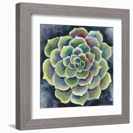 Succulent Rosette II-Chariklia Zarris-Framed Art Print