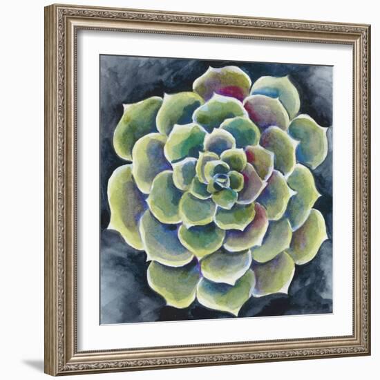 Succulent Rosette II-Chariklia Zarris-Framed Art Print