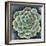 Succulent Rosette II-Chariklia Zarris-Framed Art Print