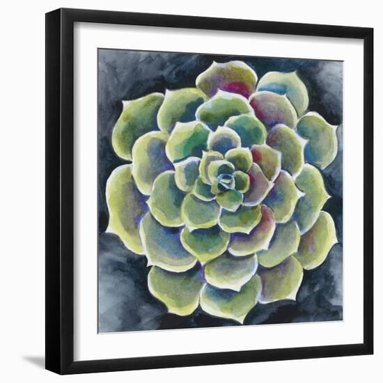 Succulent Rosette II-Chariklia Zarris-Framed Art Print