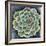 Succulent Rosette II-Chariklia Zarris-Framed Art Print