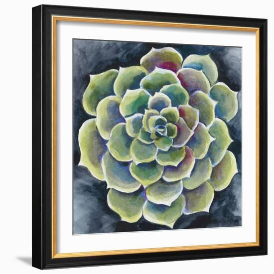 Succulent Rosette II-Chariklia Zarris-Framed Art Print