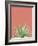 Succulent Simplicity I Coral Crop-Felicity Bradley-Framed Photographic Print