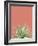 Succulent Simplicity I Coral Crop-Felicity Bradley-Framed Photographic Print