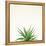 Succulent Simplicity I Neutral-Felicity Bradley-Framed Stretched Canvas