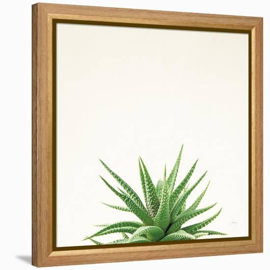 Succulent Simplicity I Neutral-Felicity Bradley-Framed Stretched Canvas