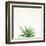 Succulent Simplicity I Neutral-Felicity Bradley-Framed Art Print