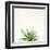 Succulent Simplicity I Neutral-Felicity Bradley-Framed Art Print