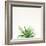 Succulent Simplicity I Neutral-Felicity Bradley-Framed Art Print