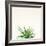 Succulent Simplicity I Neutral-Felicity Bradley-Framed Art Print