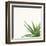 Succulent Simplicity II Neutral-Felicity Bradley-Framed Art Print