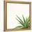 Succulent Simplicity II Neutral-Felicity Bradley-Framed Stretched Canvas