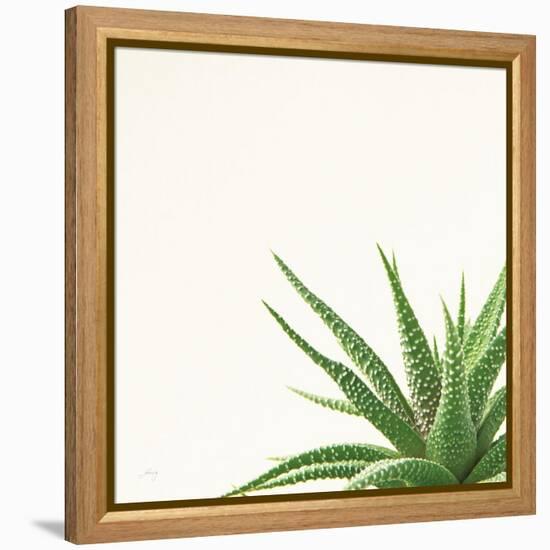 Succulent Simplicity II Neutral-Felicity Bradley-Framed Stretched Canvas