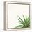 Succulent Simplicity II Neutral-Felicity Bradley-Framed Stretched Canvas