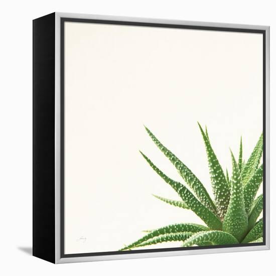 Succulent Simplicity II Neutral-Felicity Bradley-Framed Stretched Canvas