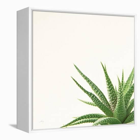 Succulent Simplicity II Neutral-Felicity Bradley-Framed Stretched Canvas