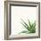 Succulent Simplicity II Neutral-Felicity Bradley-Framed Art Print