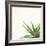 Succulent Simplicity II Neutral-Felicity Bradley-Framed Art Print