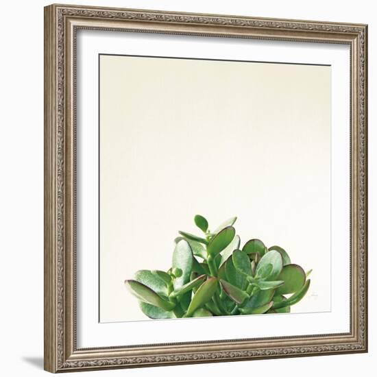 Succulent Simplicity III Neutral-Felicity Bradley-Framed Art Print