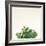 Succulent Simplicity III Neutral-Felicity Bradley-Framed Art Print