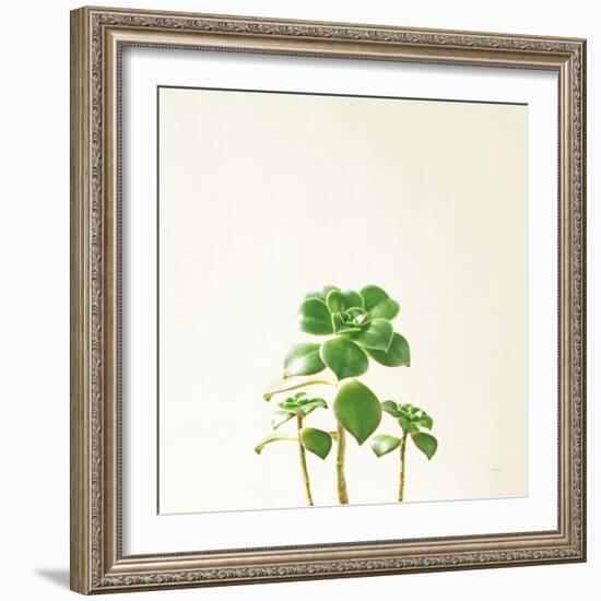 Succulent Simplicity IX Neutral-Felicity Bradley-Framed Art Print