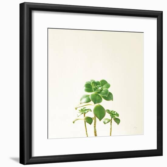 Succulent Simplicity IX Neutral-Felicity Bradley-Framed Art Print