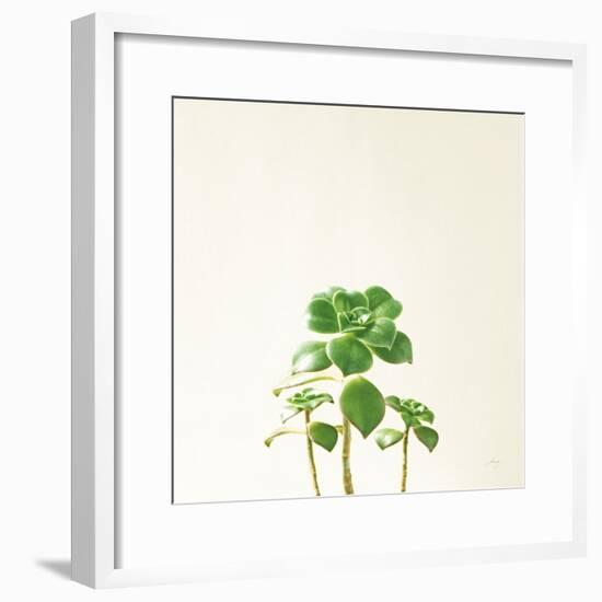 Succulent Simplicity IX Neutral-Felicity Bradley-Framed Art Print