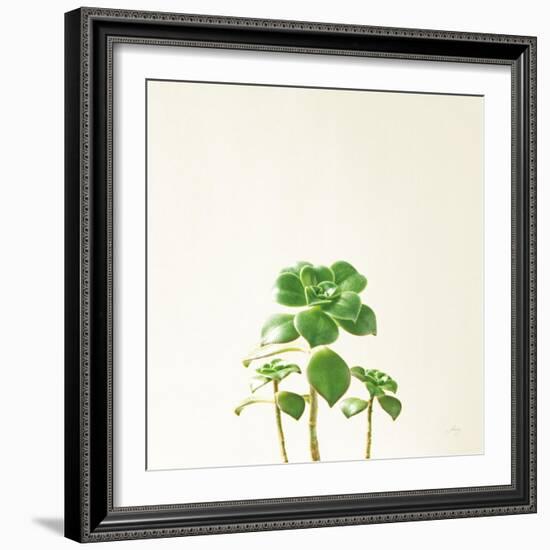 Succulent Simplicity IX Neutral-Felicity Bradley-Framed Art Print