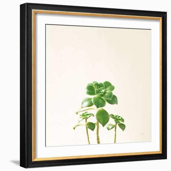 Succulent Simplicity IX Neutral-Felicity Bradley-Framed Art Print