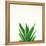 Succulent Simplicity V Neutral-Felicity Bradley-Framed Stretched Canvas