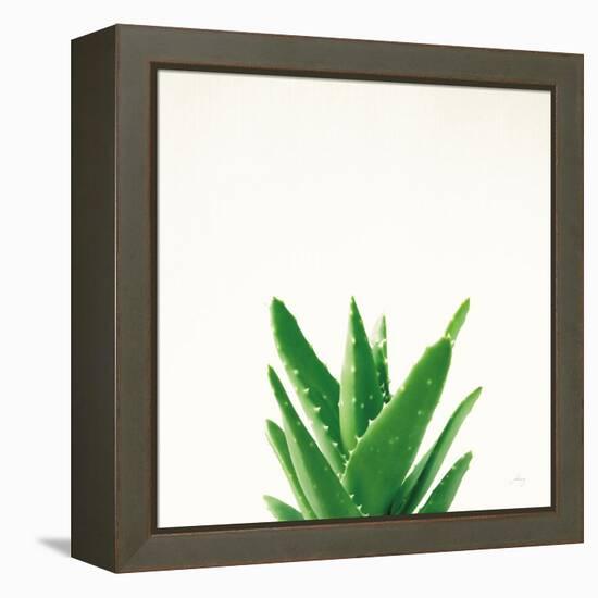 Succulent Simplicity V Neutral-Felicity Bradley-Framed Stretched Canvas