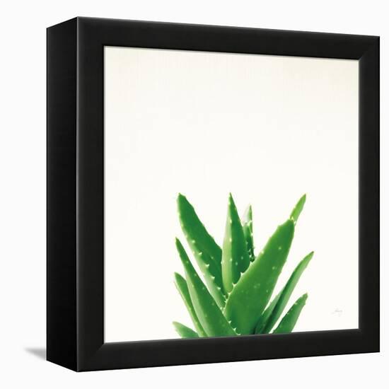 Succulent Simplicity V Neutral-Felicity Bradley-Framed Stretched Canvas