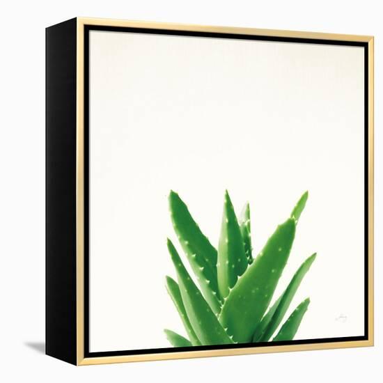 Succulent Simplicity V Neutral-Felicity Bradley-Framed Stretched Canvas