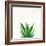 Succulent Simplicity V Neutral-Felicity Bradley-Framed Art Print