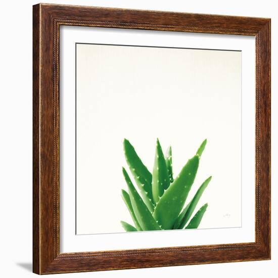 Succulent Simplicity V Neutral-Felicity Bradley-Framed Art Print