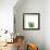 Succulent Simplicity V Neutral-Felicity Bradley-Framed Art Print displayed on a wall