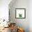 Succulent Simplicity V Neutral-Felicity Bradley-Framed Art Print displayed on a wall