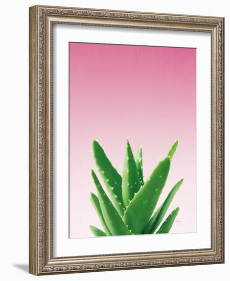 Succulent Simplicity V Pink Ombre Crop-Felicity Bradley-Framed Art Print
