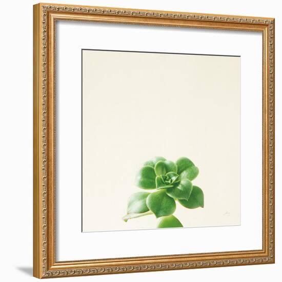 Succulent Simplicity VII Neutral-Felicity Bradley-Framed Art Print