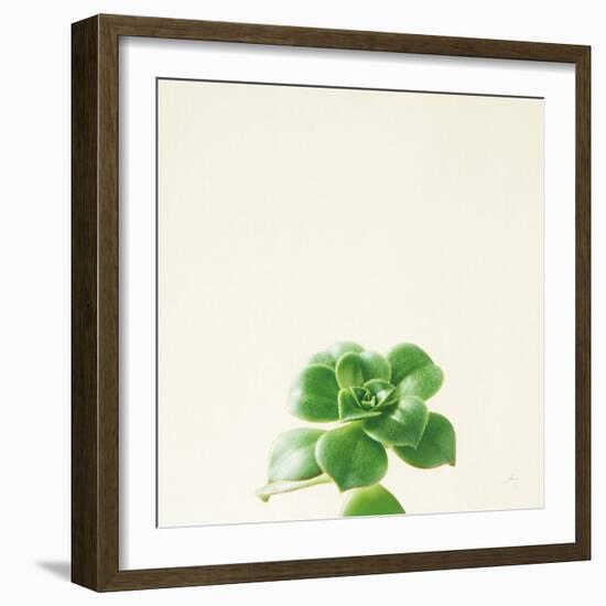 Succulent Simplicity VII Neutral-Felicity Bradley-Framed Art Print