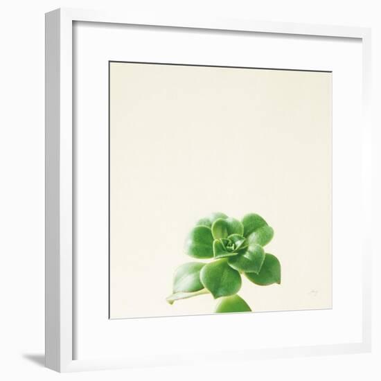 Succulent Simplicity VII Neutral-Felicity Bradley-Framed Art Print