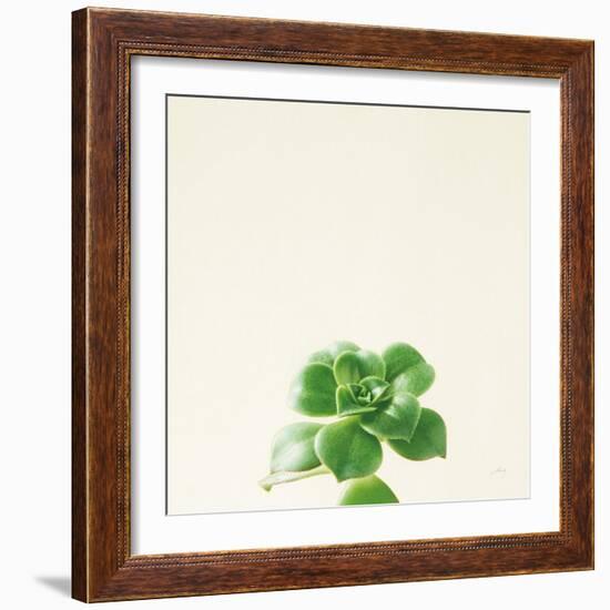 Succulent Simplicity VII Neutral-Felicity Bradley-Framed Art Print